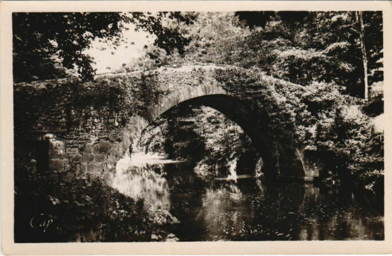 Carte postale ancienne St Jean Pied de Port Le Pont romain d'Eyheraberry France
