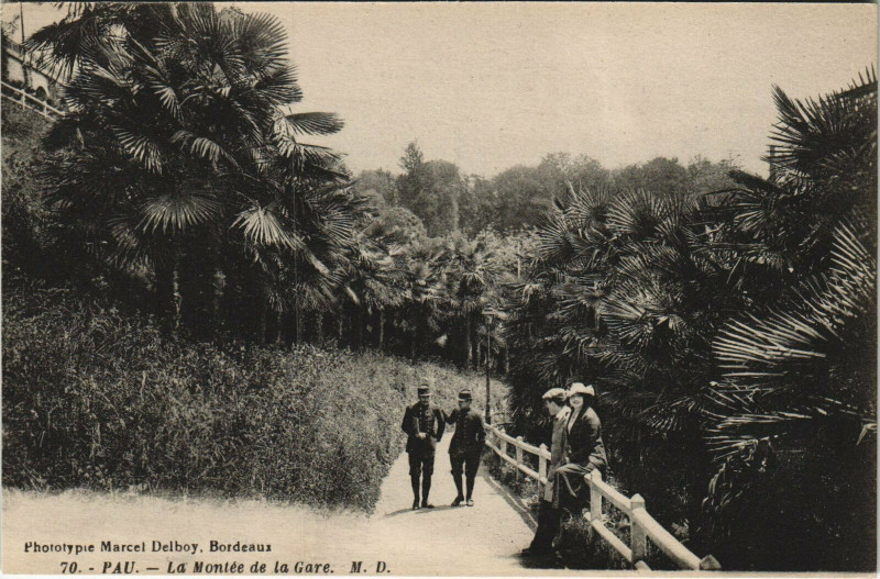 Carte postale ancienne Pau La Montee de la Gare à Mont