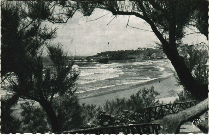 Carte postale ancienne Biarritz Le Phare vu a Travers les Tamaris à Biarritz