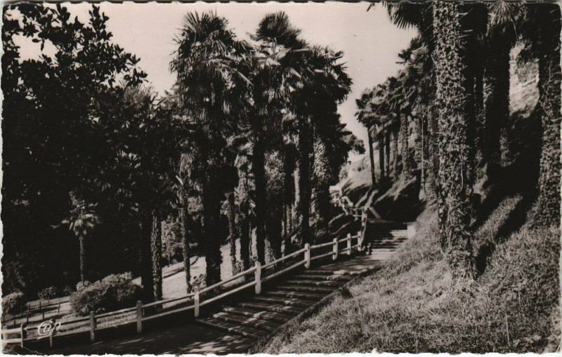 Carte postale ancienne Pau La Palmeraie à Pau