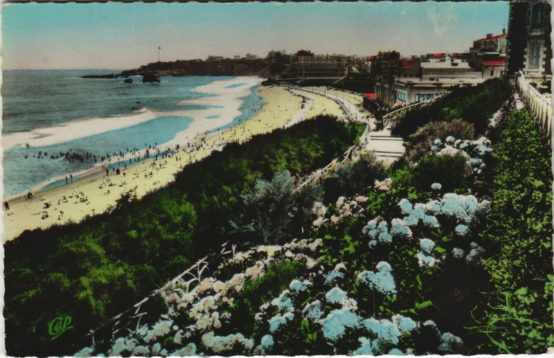 Carte postale ancienne Biarritz Les Hortensias et la Grande Plage à Biarritz