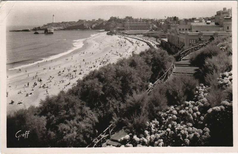 Carte postale ancienne Biarritz La Plage Fleurie d'Hortensias à Biarritz
