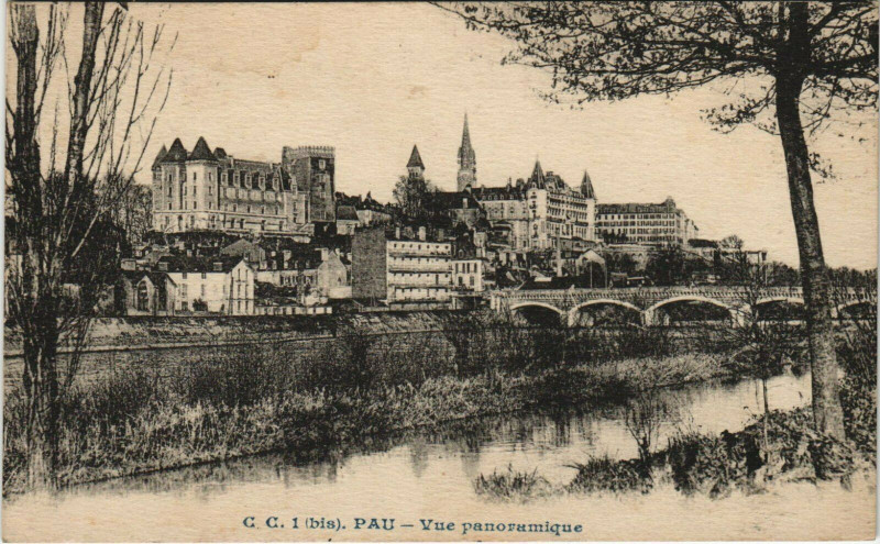 Carte postale ancienne Pau Vue Panoramique à Pau