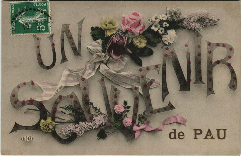 Carte postale ancienne Pau Un Souvenir de Pau à Pau