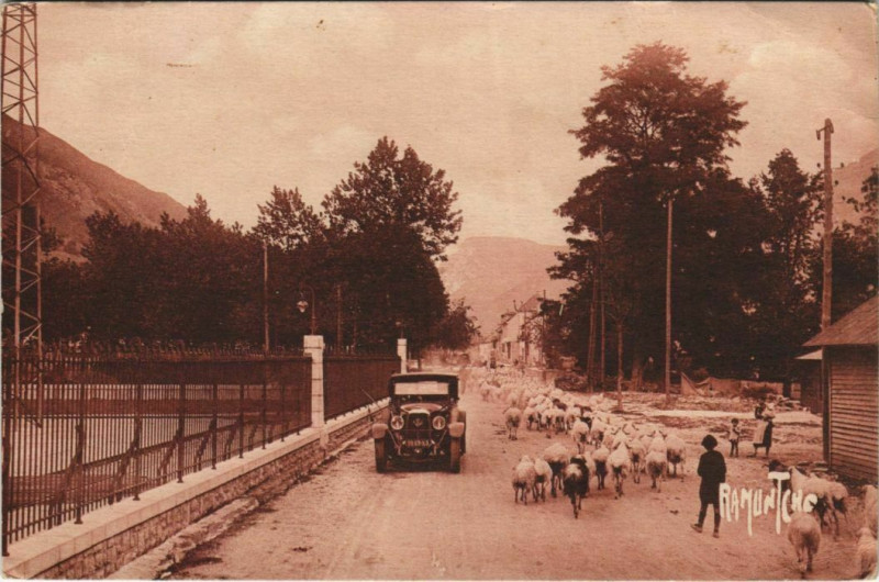 Carte postale ancienne Laruns Troupeau de moutons descendant France à Laruns