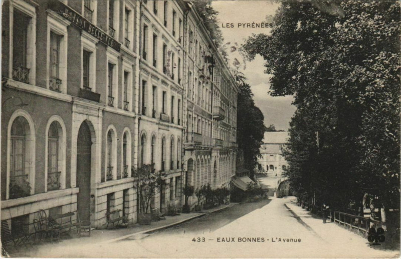 Carte postale ancienne Eaux-Bonnes L'Avenue France à Eaux-Bonnes