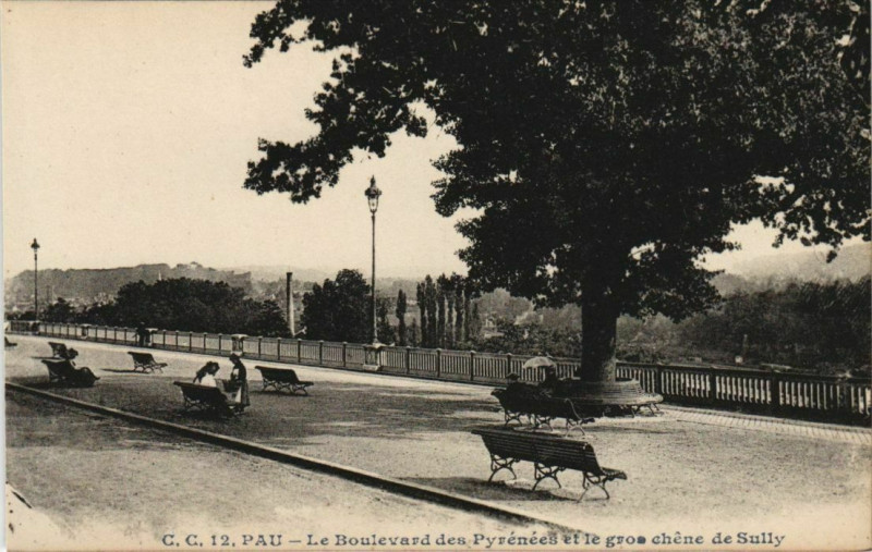 Carte postale ancienne Pau Le Boulevard des Pyrenees France à Pau
