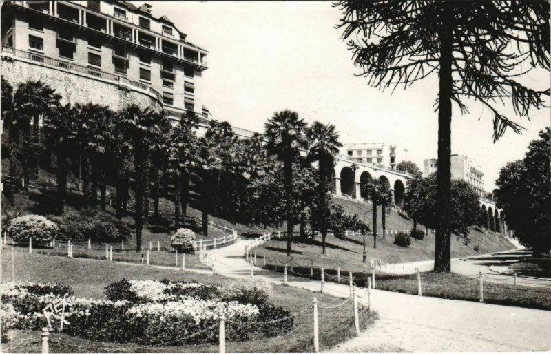 Carte postale ancienne Pau La Palmeraie France à Pau