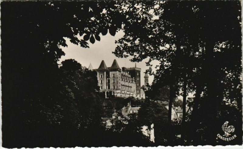 Carte postale ancienne Pau Le Chateau Henri Iv vu du Parc France à Pau