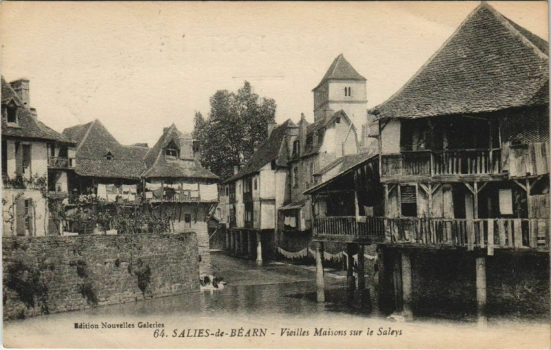 Carte postale ancienne Salies de Bearn Vieilles maisons s le Saleys France
