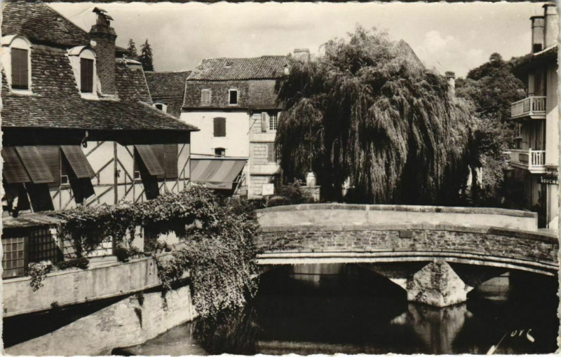 Carte postale ancienne Salies de Bearn Vieux pont s le Saleys France