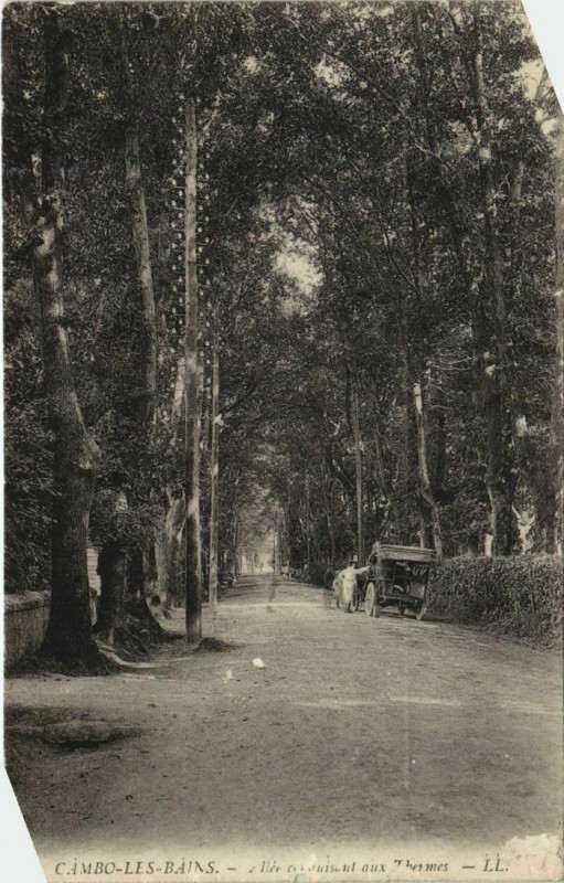 Carte postale ancienne Cambo les Bains Allee conduisant aux Thermes France à Cambo-les-Bains