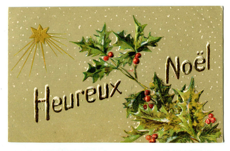 Carte postale ancienne Fantaisie holidays happy christmas holly branch of relief card