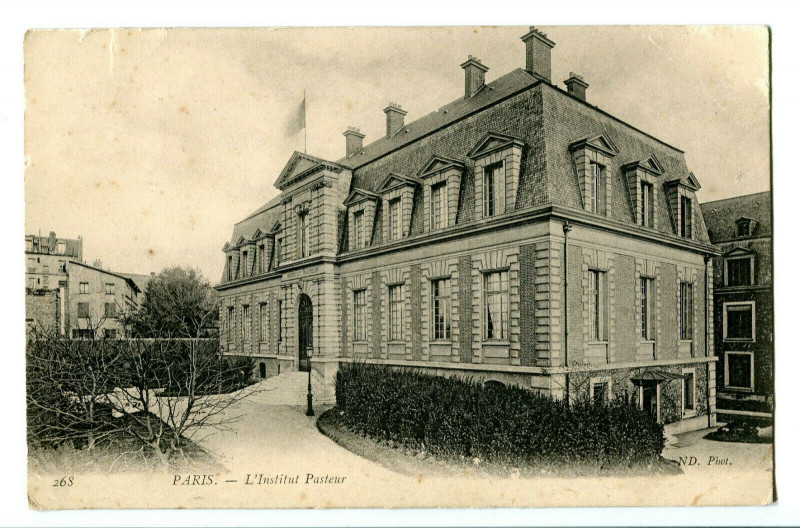 Carte postale ancienne L'Institut pasteur à Paris 15e