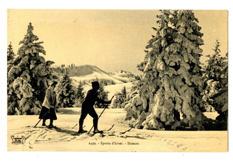 Carte postale ancienne Winter sports animated skiers