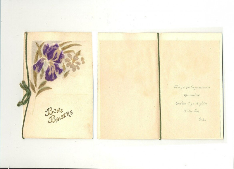Carte postale ancienne Fantaisie mountain flowers flocked card