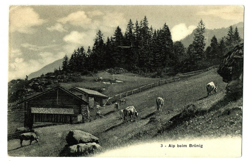 Carte postale ancienne Central switzerland alp beim brünig