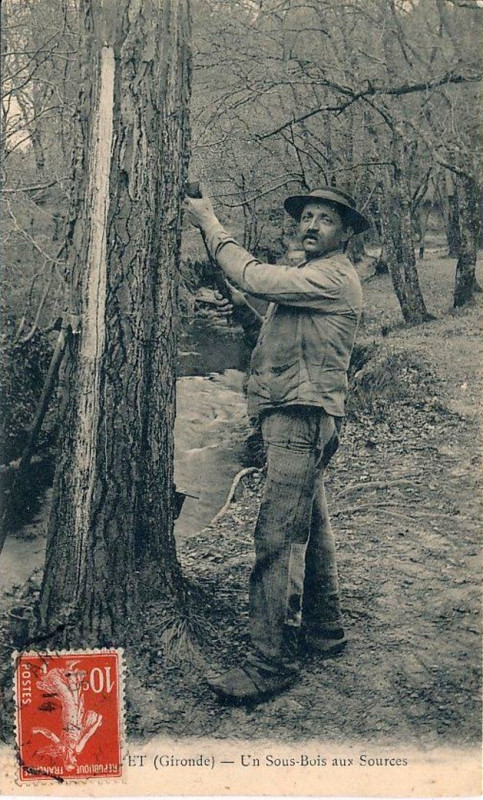 Carte postale ancienne Gazinet - Gemmeur