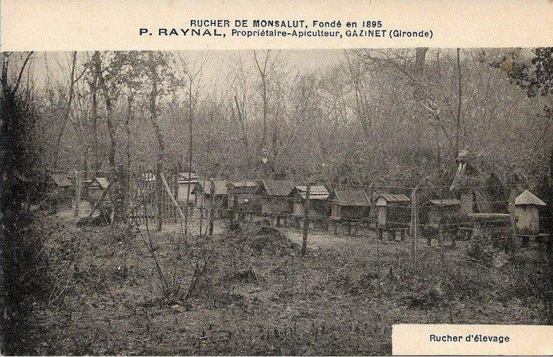 Carte postale ancienne Gazinet - Rucherie de Monsalut 5