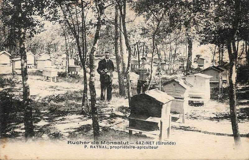 Carte postale ancienne Gazinet - Rucherie de Monsalut 3