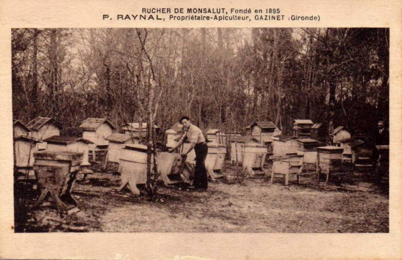 Carte postale ancienne Gazinet - Rucherie de Monsalut 1