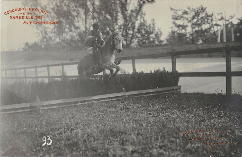 Carte postale ancienne Rare Carte Photo Marseille Concours Hippique 1908(Photo Fontaine d'Albert à Marseille