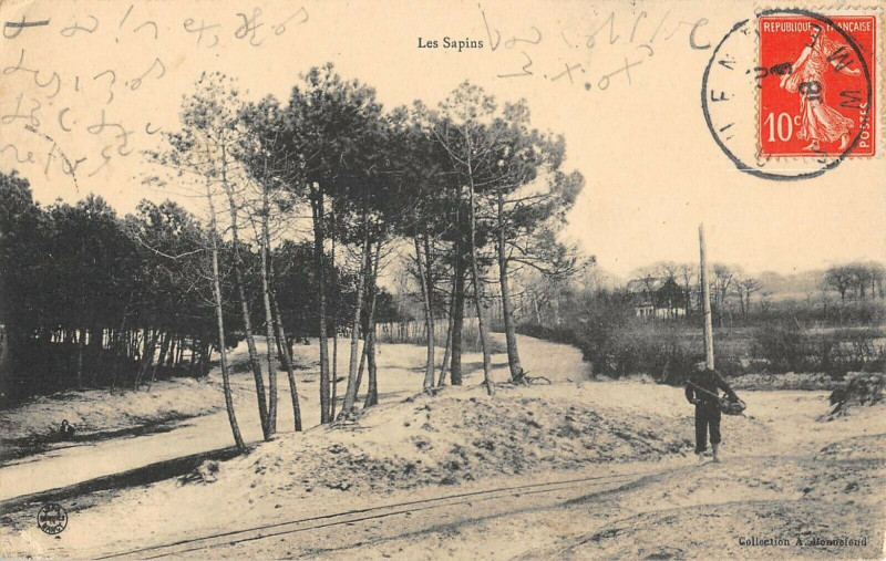 Carte postale ancienne Quend Les Sapins à Quend