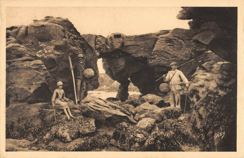 Carte postale ancienne La Bernerie Le Pont Du Diable