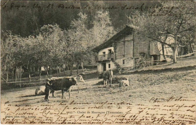 Carte postale ancienne Chalet de Montagne - Tarentaise