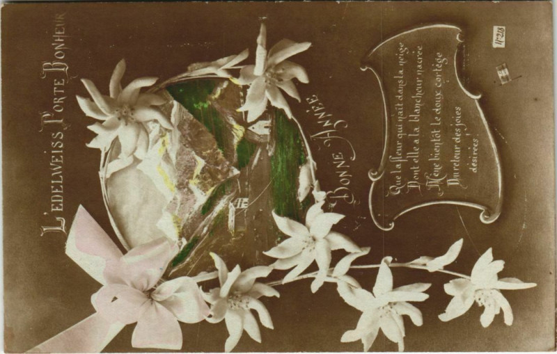 Carte postale ancienne Savoie - L'Edelweiss Porte Bonheur - Bonne Annee
