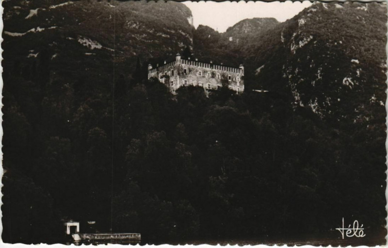 Carte postale ancienne Lac du Bourget - Chateau de Bourdeau à Bourdeau