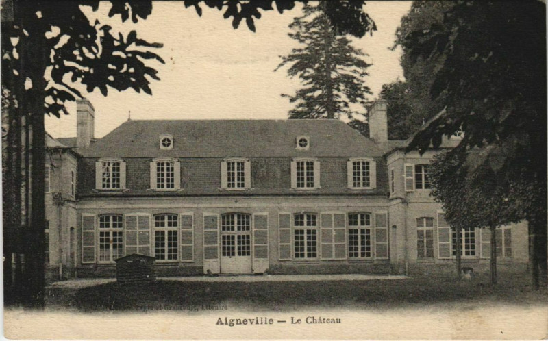 Carte postale ancienne Aigneville Le Chateau à Aigneville