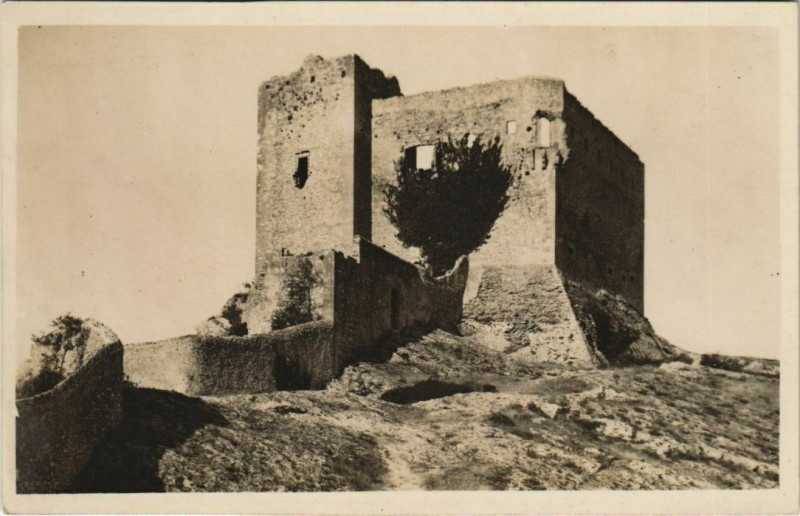 Carte postale ancienne Carte photo Vaison Le Chateau