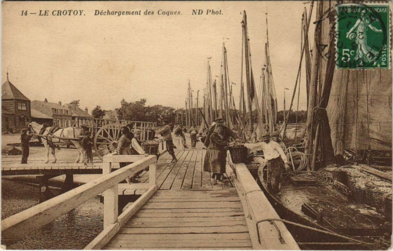 Carte postale ancienne Le Crotoy Déchargement des Coques au Crotoy