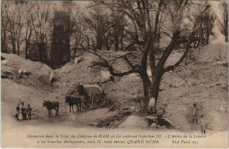 Carte postale ancienne Chateau de Ham Arbre de la Liberté à Ham