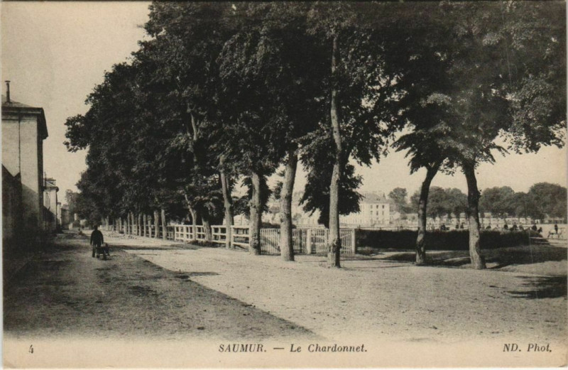 Carte postale ancienne Saumur Le Chardonnet France à Saumur