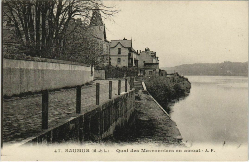Carte postale ancienne Saumur Quai des Marronniers France à Saumur