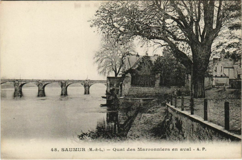 Carte postale ancienne Saumur Quai des Marronniers France à Saumur