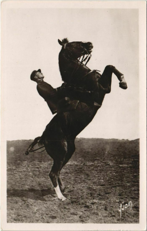 Carte postale ancienne Saumur Ecole de Cavalerie, Courbettes France à Saumur