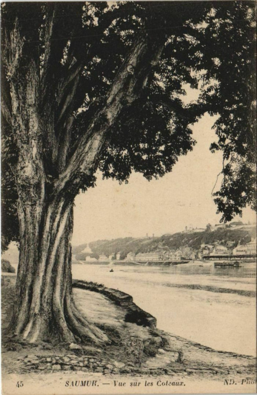 Carte postale ancienne Saumur Vue sur les Coteaux France à Saumur