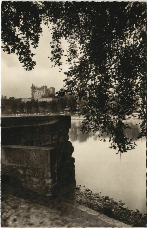 Carte postale ancienne Saumur Quai des Marronniers France à Saumur