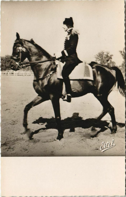 Carte postale ancienne Saumur Le Carrousel militaire France à Saumur
