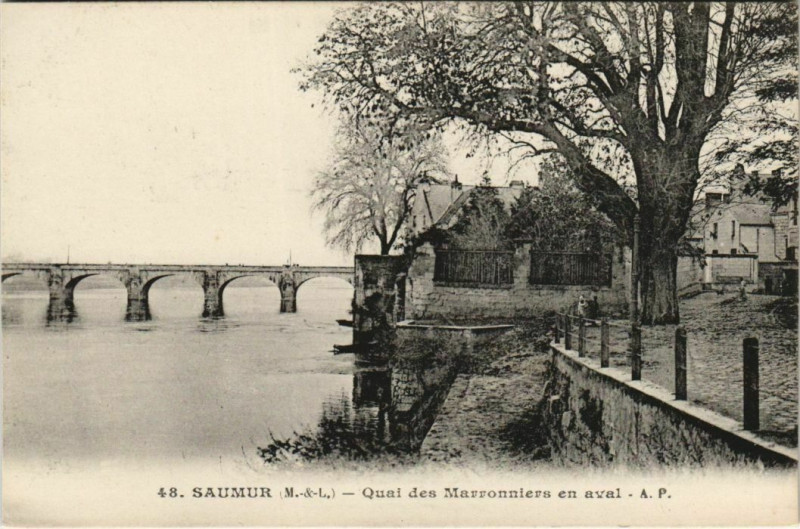 Carte postale ancienne Saumur Quai des Marronniers France à Saumur