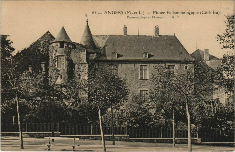 Carte postale ancienne Angers Musee Paleonthologique France à Angers