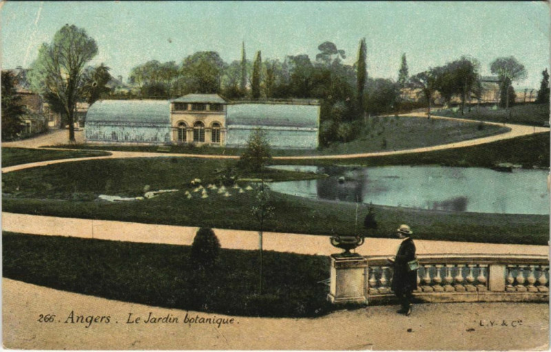 Carte postale ancienne Angers Jardin Botanique France à Angers