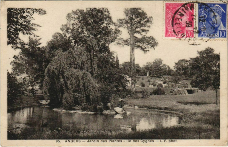 Carte postale ancienne Angers Jardin des Plantes ,Ile des Cygnes France à Angers