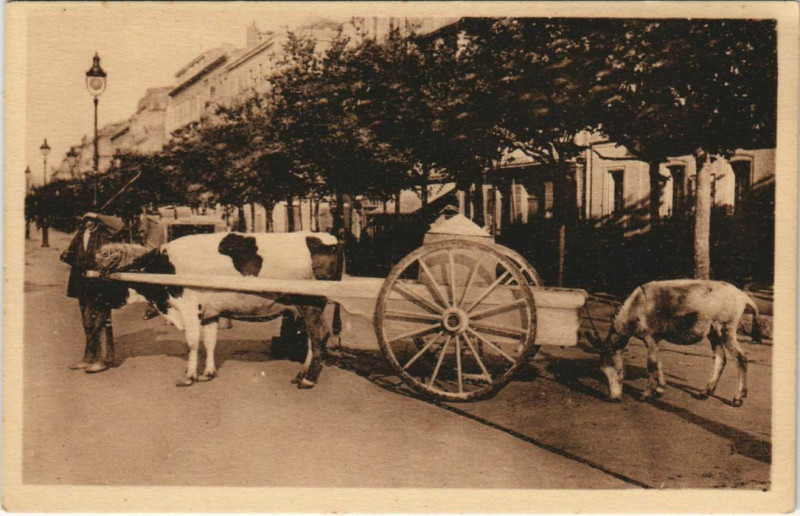 Carte postale ancienne Types Basques Attelage Basque Espagnol France