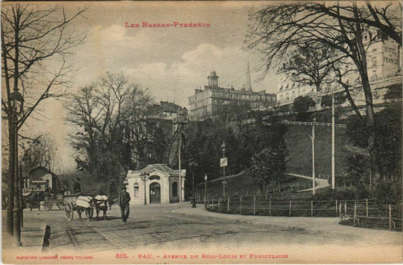 Carte postale ancienne Pau Avenue du Bois-Louis France à Pau
