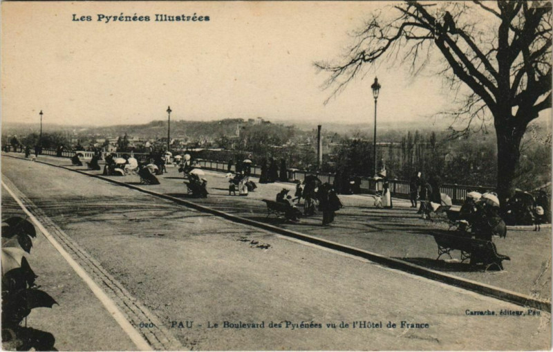 Carte postale ancienne Pau Le Boulevard des Pyrenees France à Pau