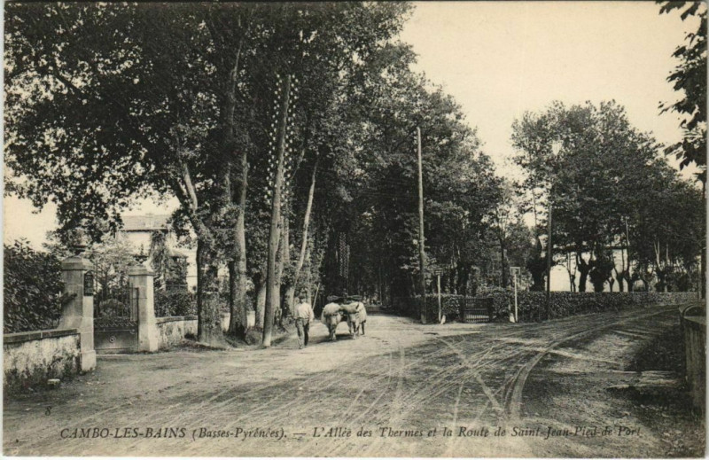 Carte postale ancienne Cambo les Bains L'Allee des Thermes France à Cambo-les-Bains